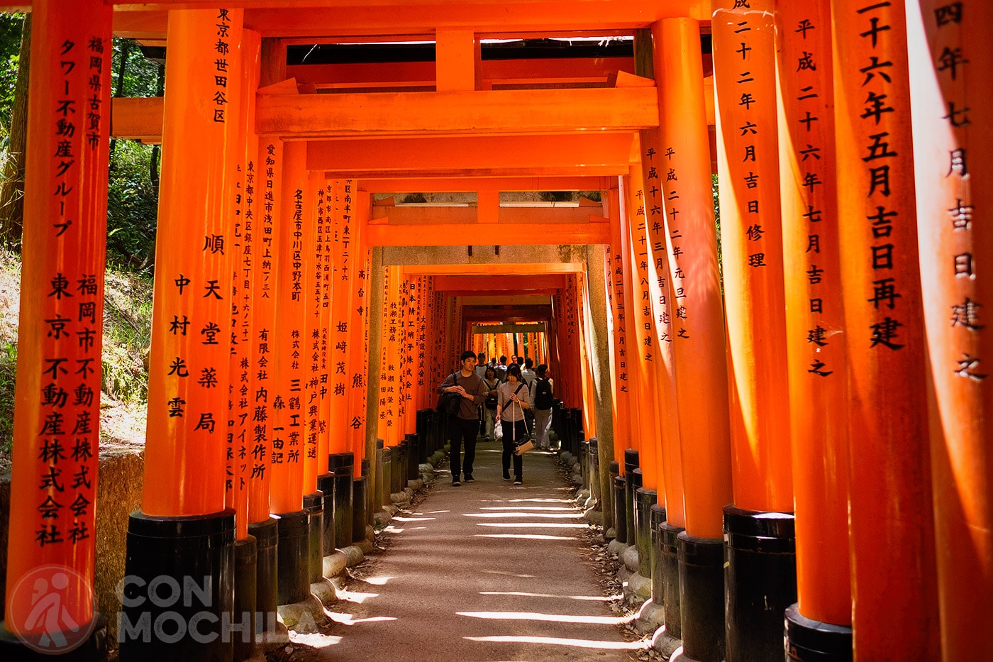 Toriis... uno de los puntos fuertes que ver en Japón