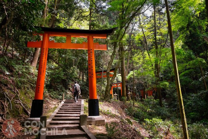 Este arco/puerta es un torii