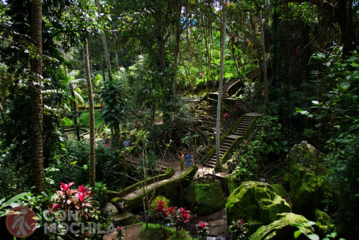 Bello e impresionante jardín