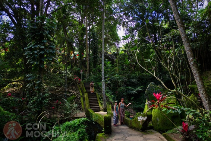 ¿Seguimos la ruta por Goa Gajah?