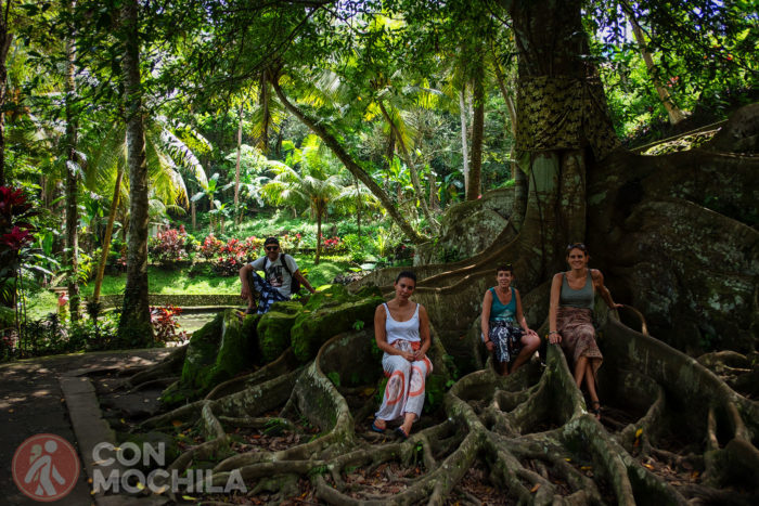 Árbol ideal para la foto. ¿Eh guiris? :-P