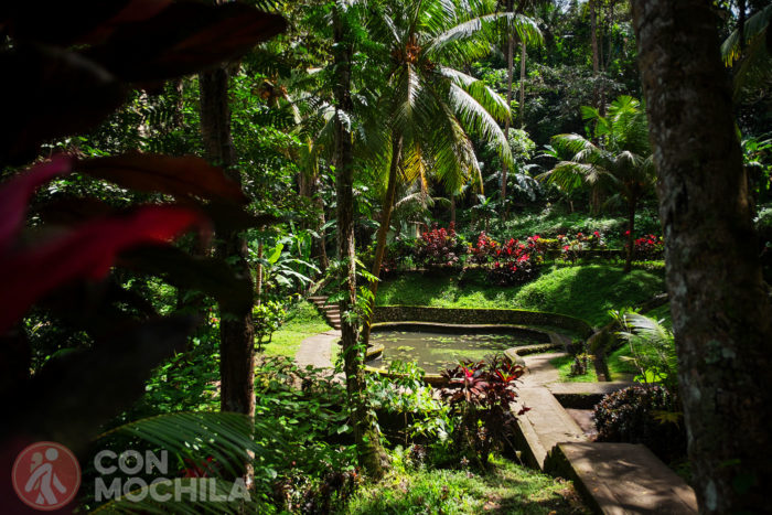 Otro de los bellos jardines con estanque y todo