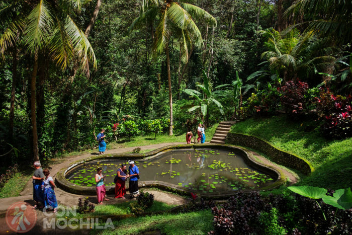 Otra vista del estanque del Goa Gajah