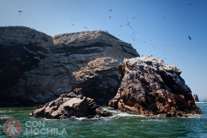 PARACAS E ISLAS BALLESTAS