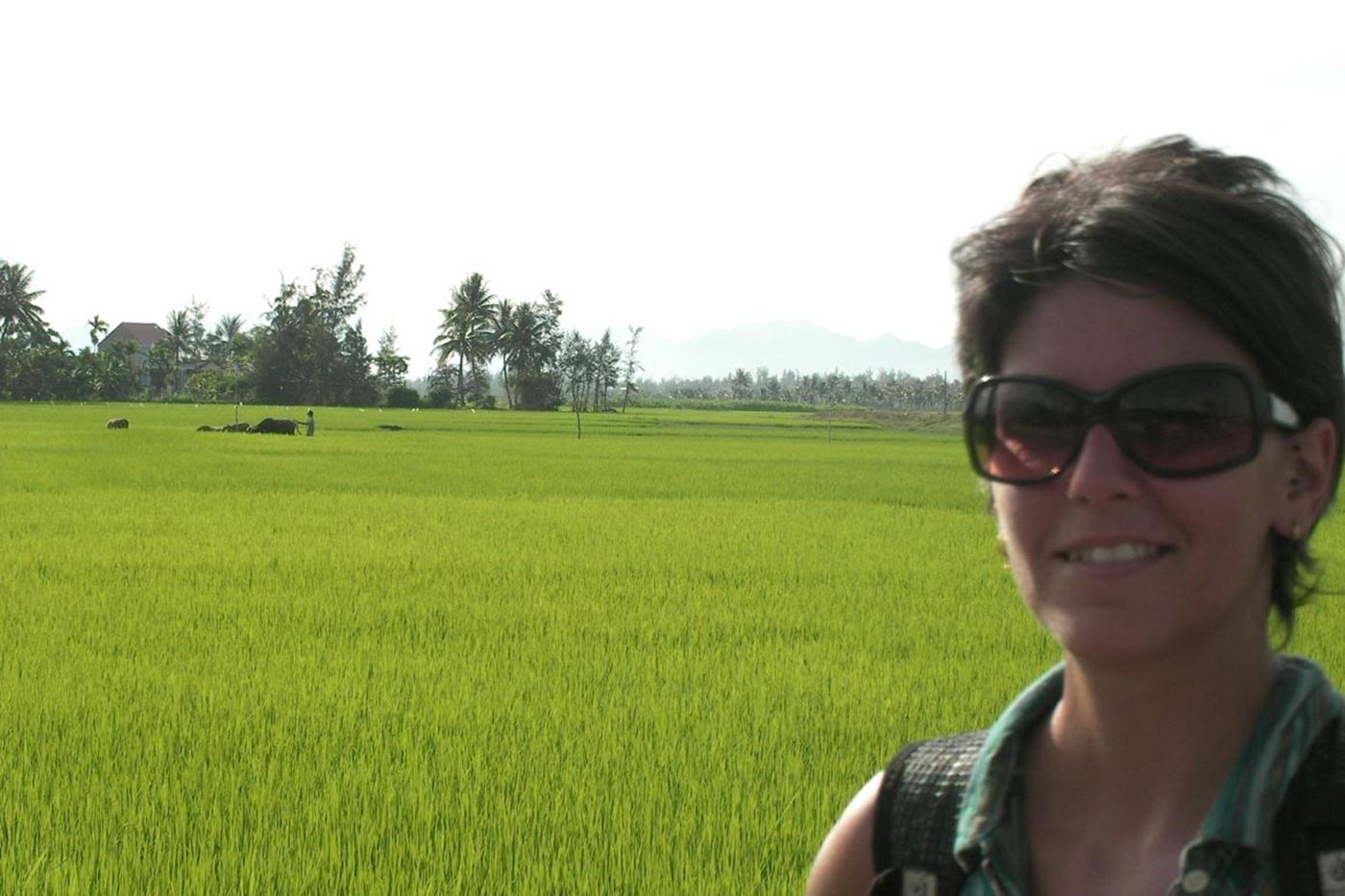 Itinerariode viaje a Vietnam. Bucólico paisaje a las afueras de Hoi An.