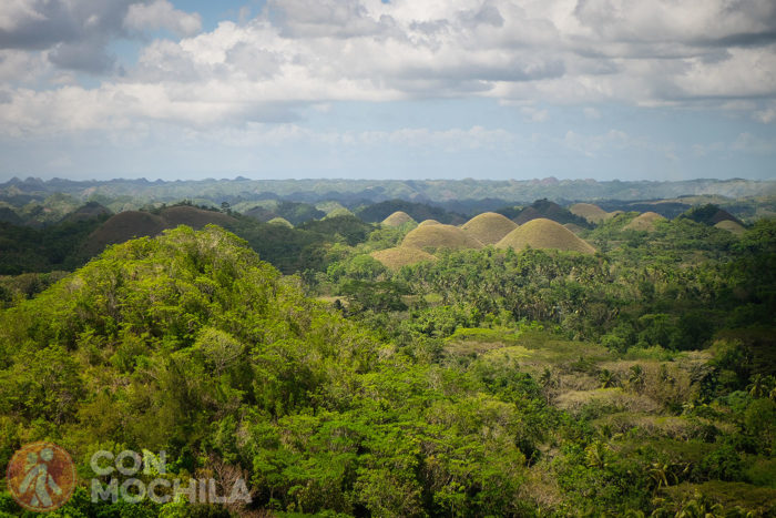 Chocolate Hills