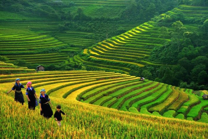 Paisaje en Sapa, Vietnam