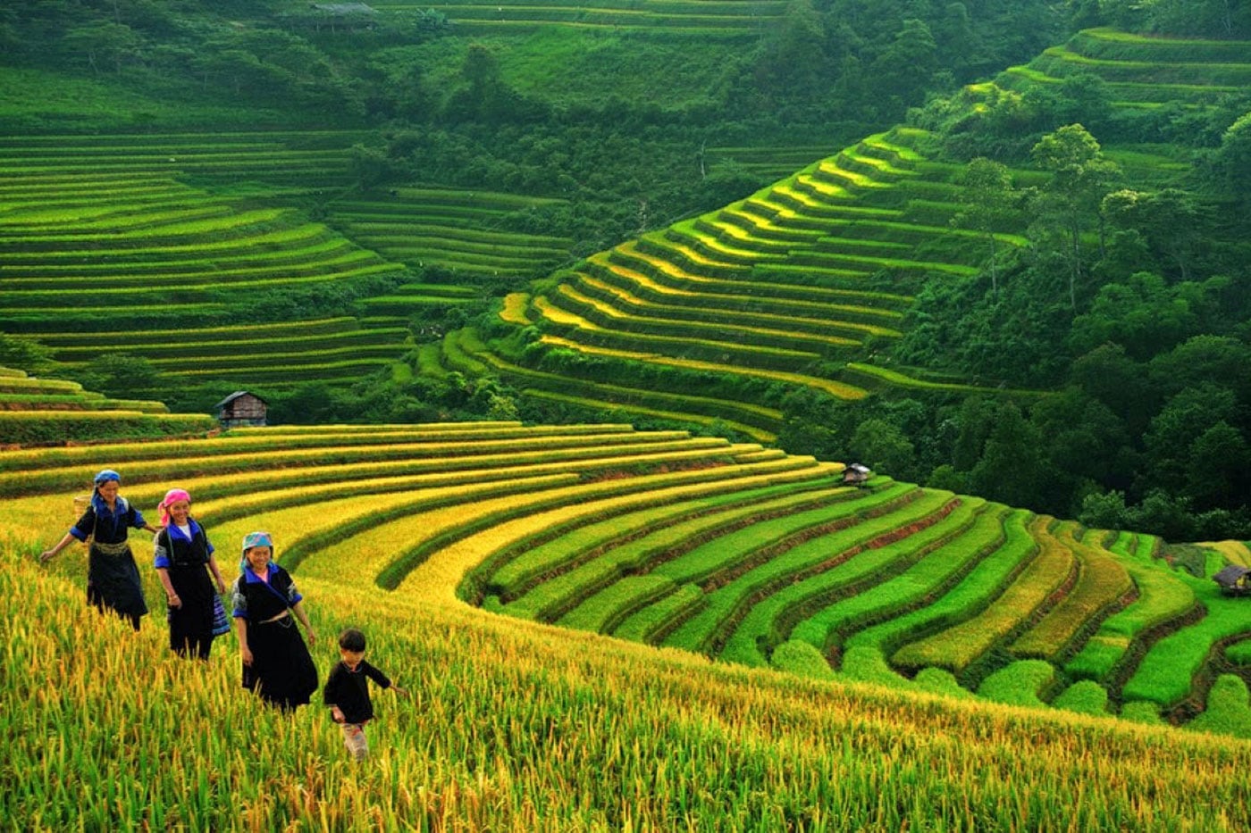 Paisaje en Sapa, Vietnam