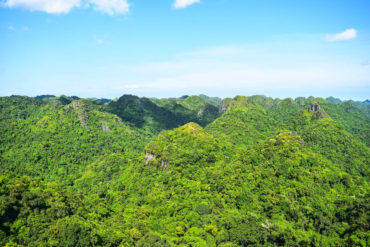 Guía de viaje Bahía de Halong Cat Ba National Park