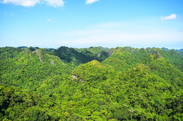 Guía de viaje Bahía de Halong Cat Ba National Park