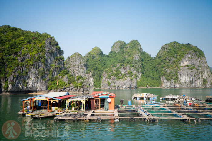 Guía de viaje Bahía de Halong Pueblos Flotantes