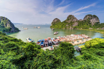 Guía de viaje Bahía de Halong Dau Go Island