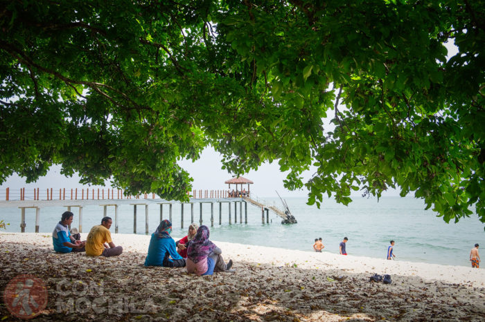 Guia de viaje Georgetown Monkey Beach