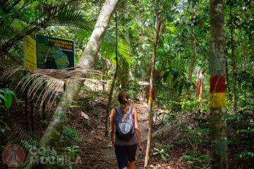 Guia de viaje Georgetown Trekking Parque Nacional Penang