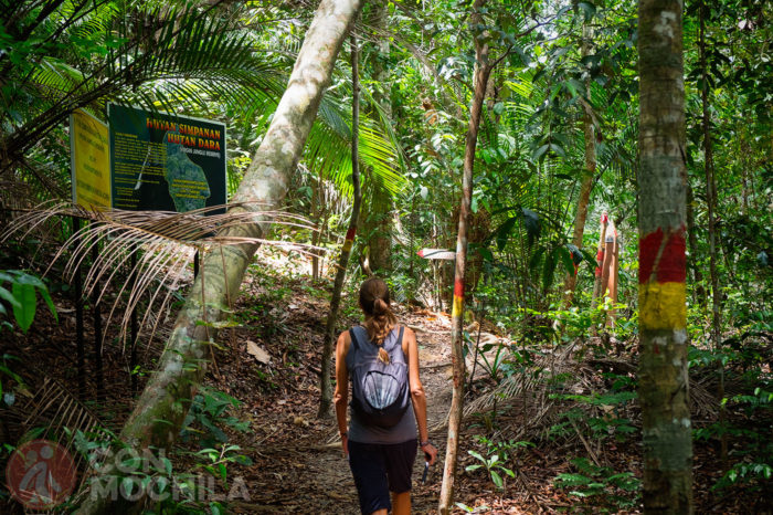 Guia de viaje Georgetown Trekking Parque Nacional Penang