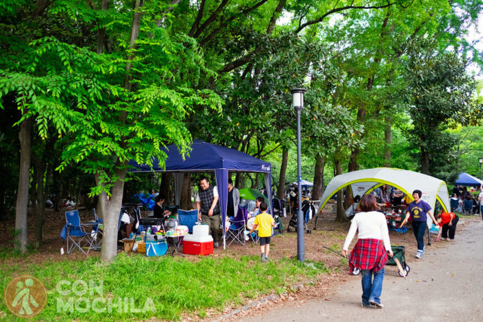 Y preparándose sus picnics