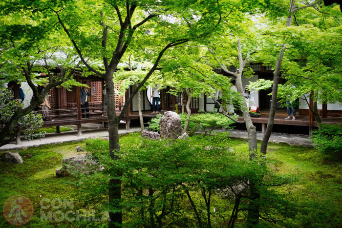 El jardín interior. Verde, verde y más verde