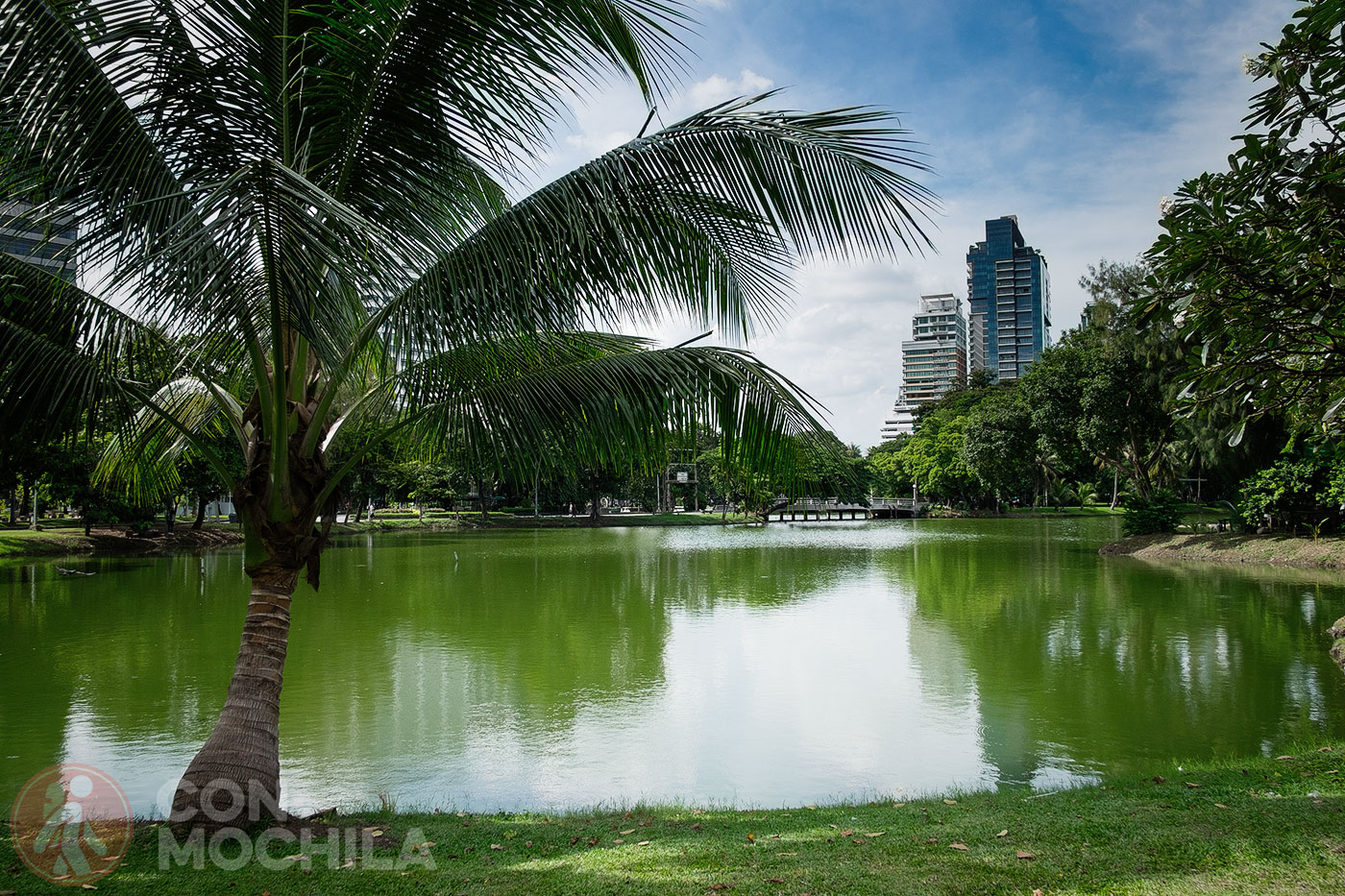 El lago del parque