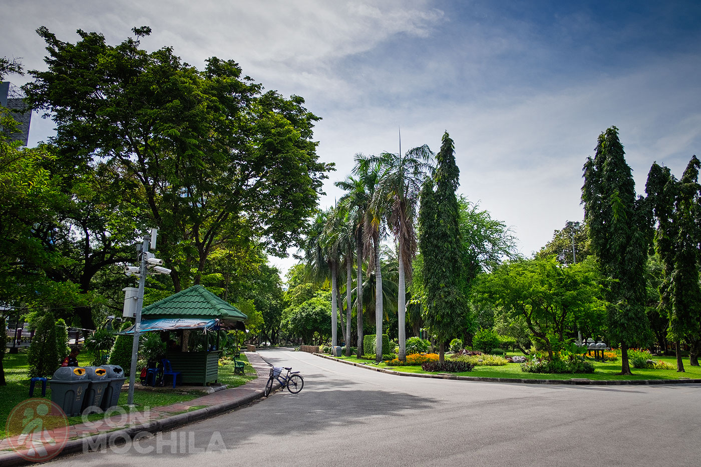 Zona asfaltada en el parque