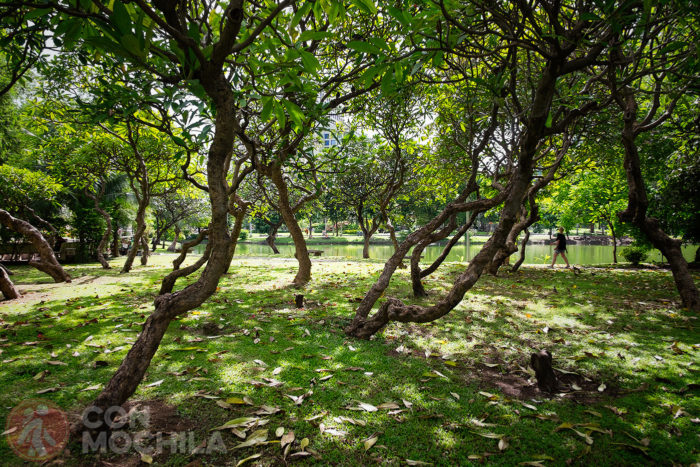 Jardines de Lumphini Park