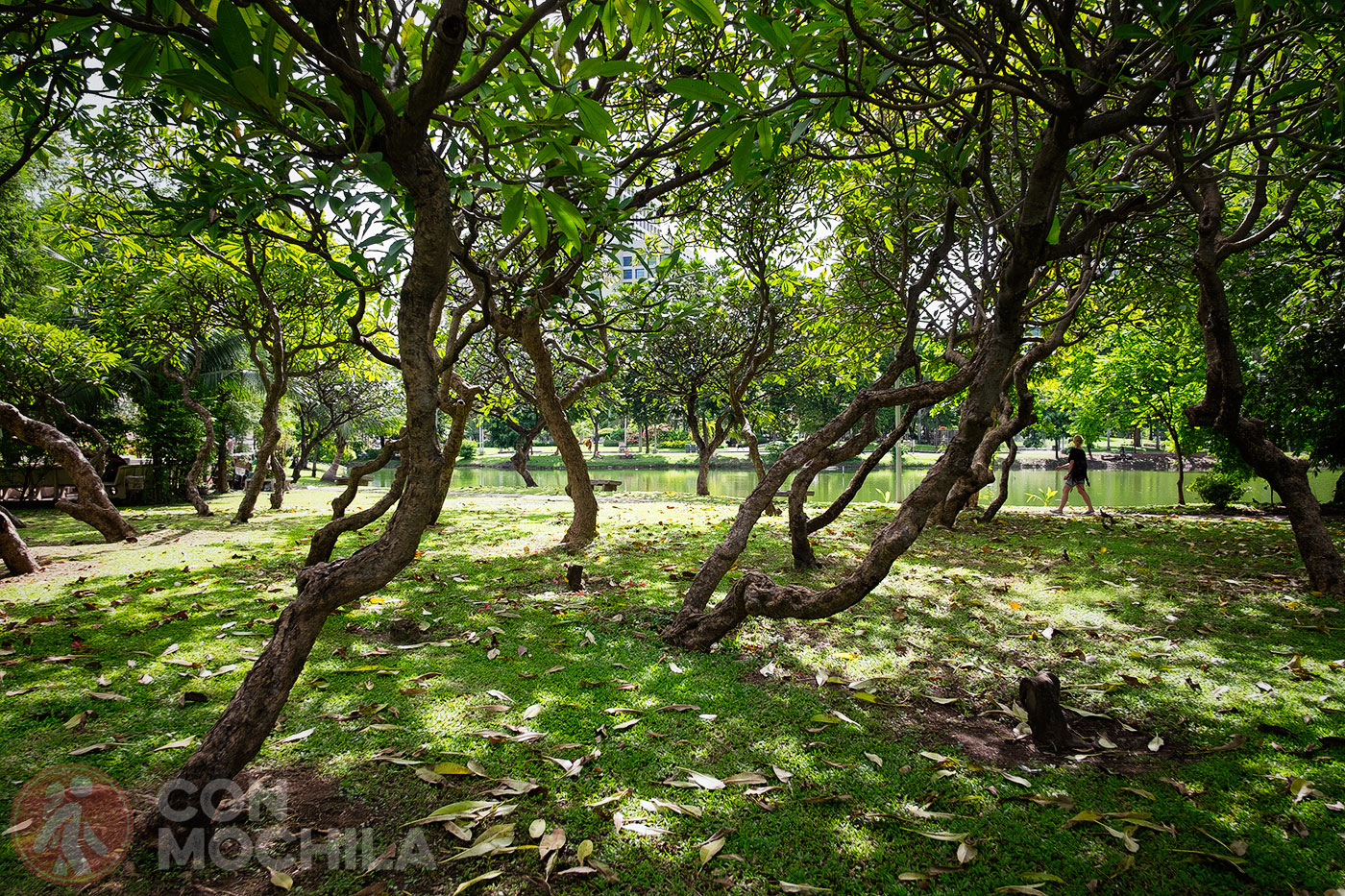 Jardines de Lumphini Park