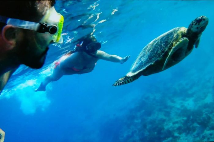 Itinerario de viaje a Indonesia: Haciendo snorkel con tortugas en las islas Gili