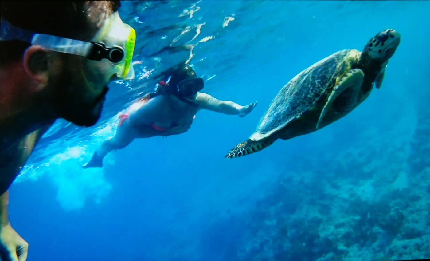 Haciendo snorkel con tortugas en las islas Gili