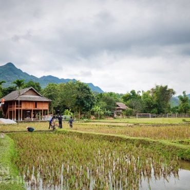NORTE DE VIETNAM