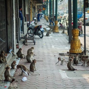 LOPBURI