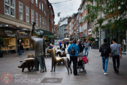 CALLE SÖGESTRASSE