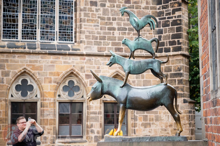 Músicos de Bremen en la Marktplatz