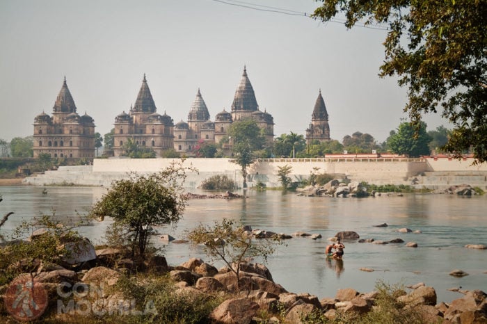 ORCHHA