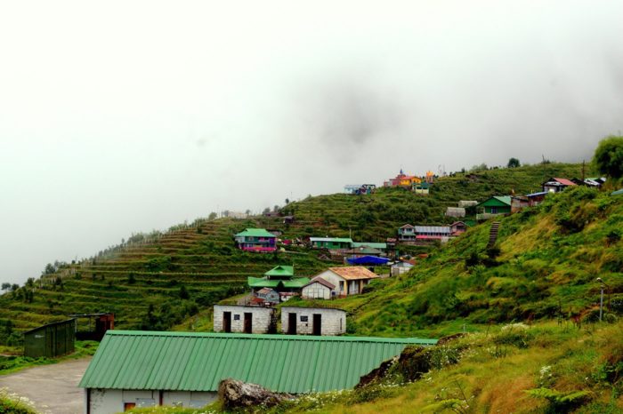 Dzuluk