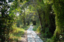 Pathiramanal island