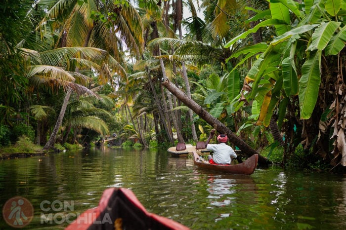 Backwaters de Kerala