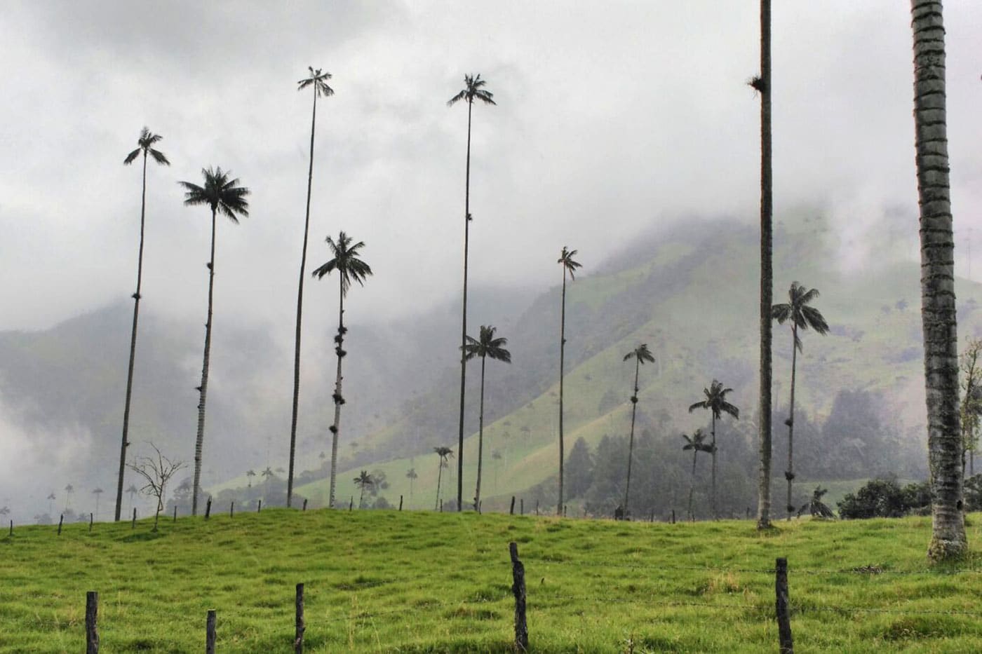 Colombia