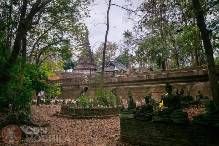 Vista del chedi desde uno de los jardines