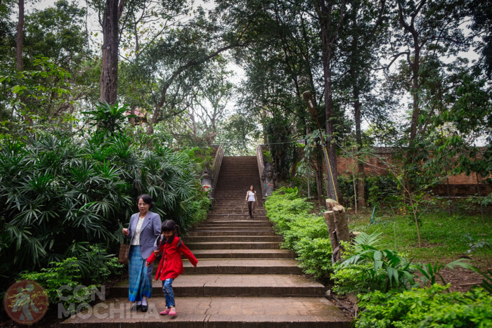 Escaleras que vienen de la zona del chedi
