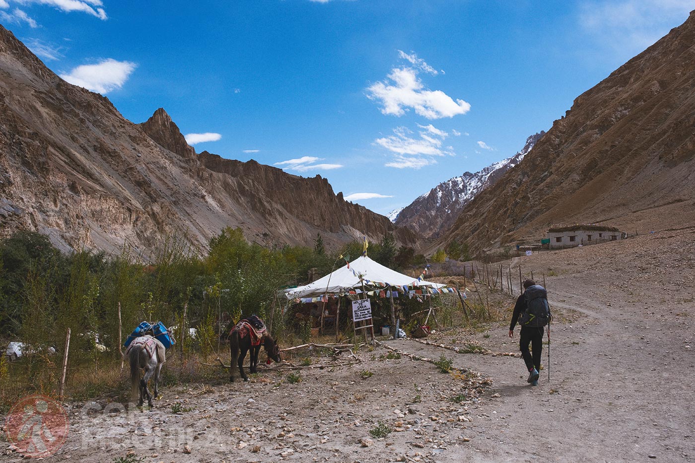 Skiu - Markha (12)
