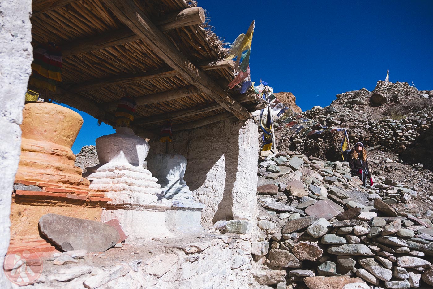 Markha - Upper Hankar (6)