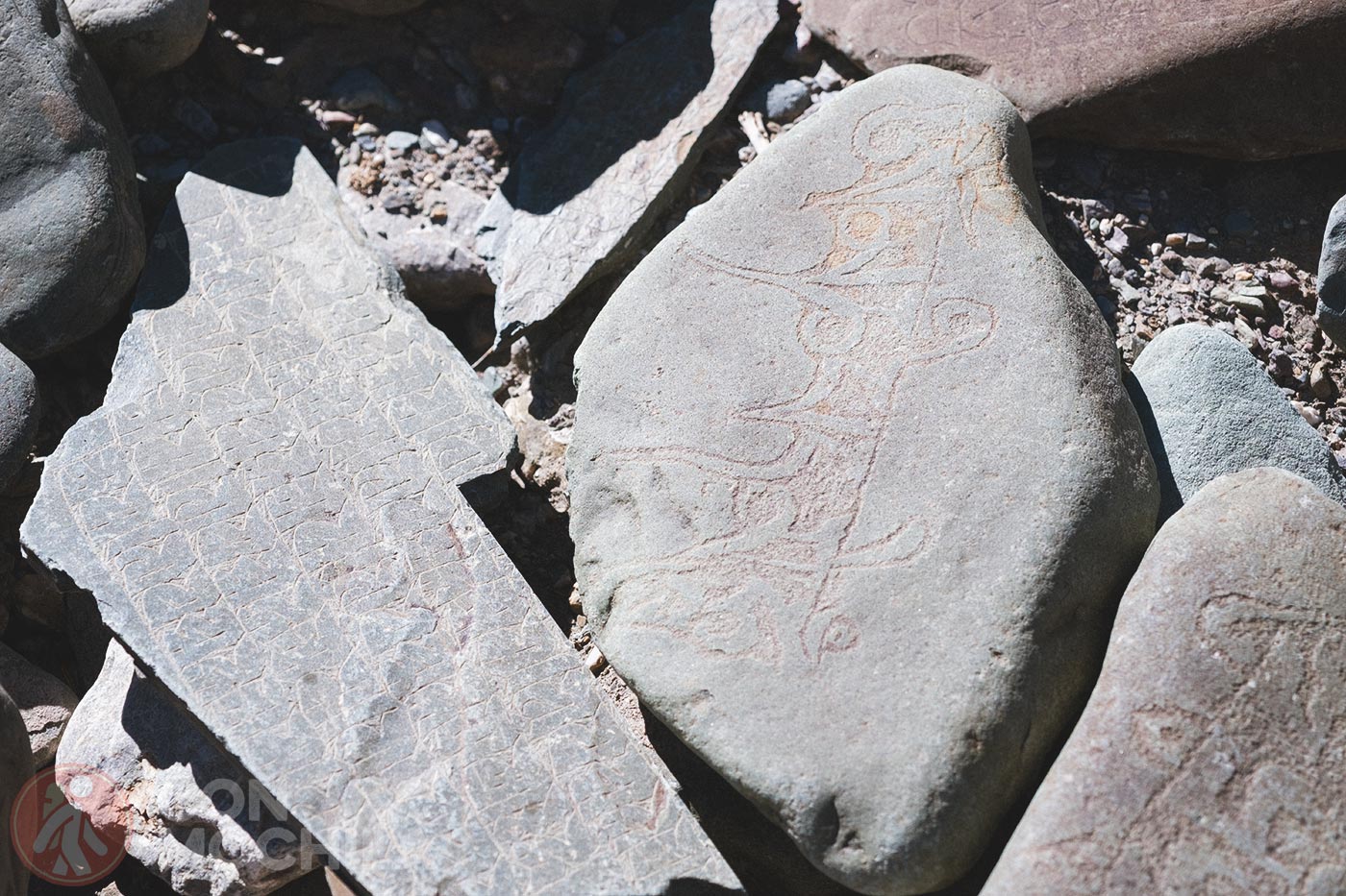 Markha - Upper Hankar (7)
