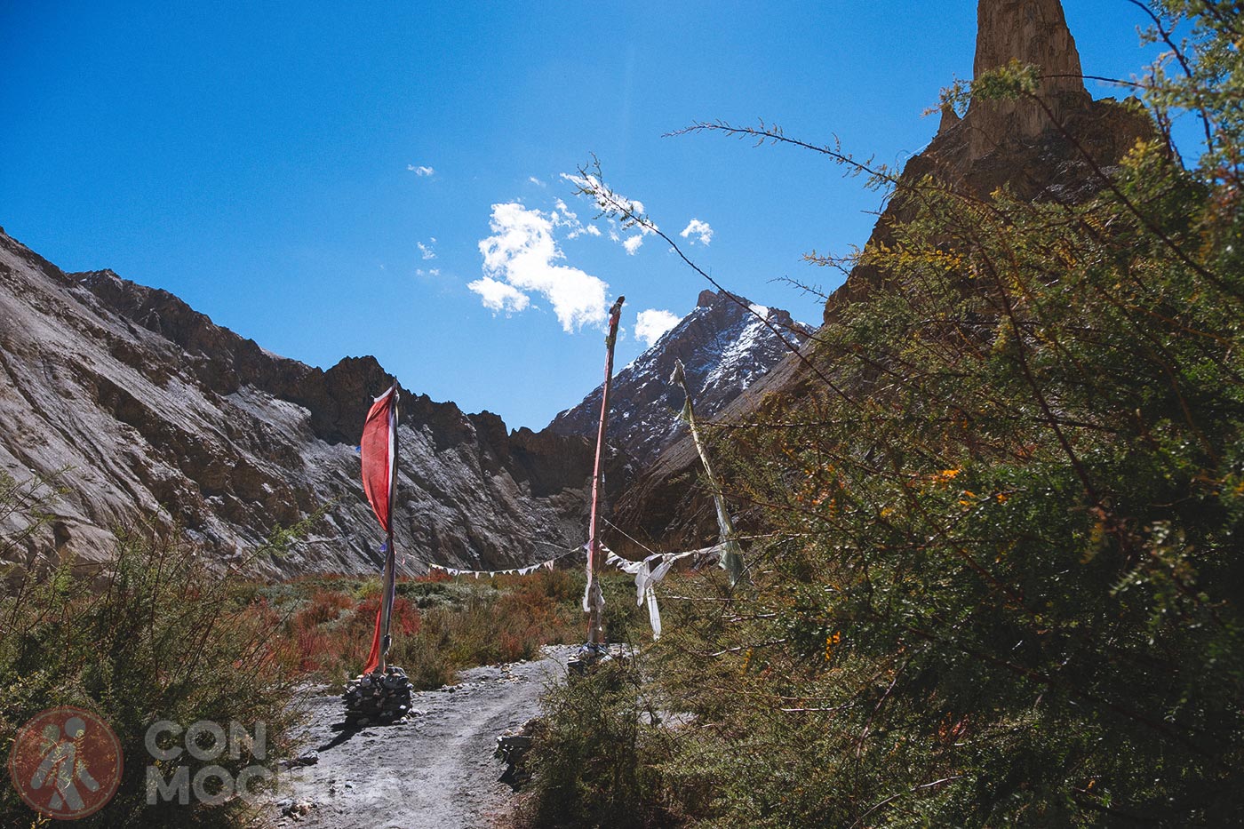 Markha - Upper Hankar (19)