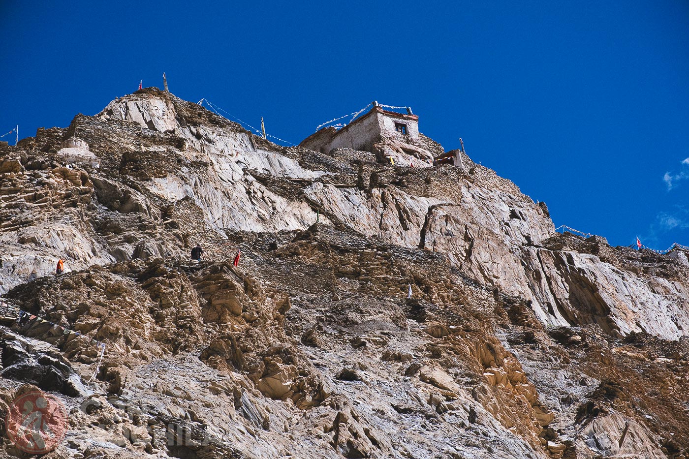 Markha - Upper Hankar (23)
