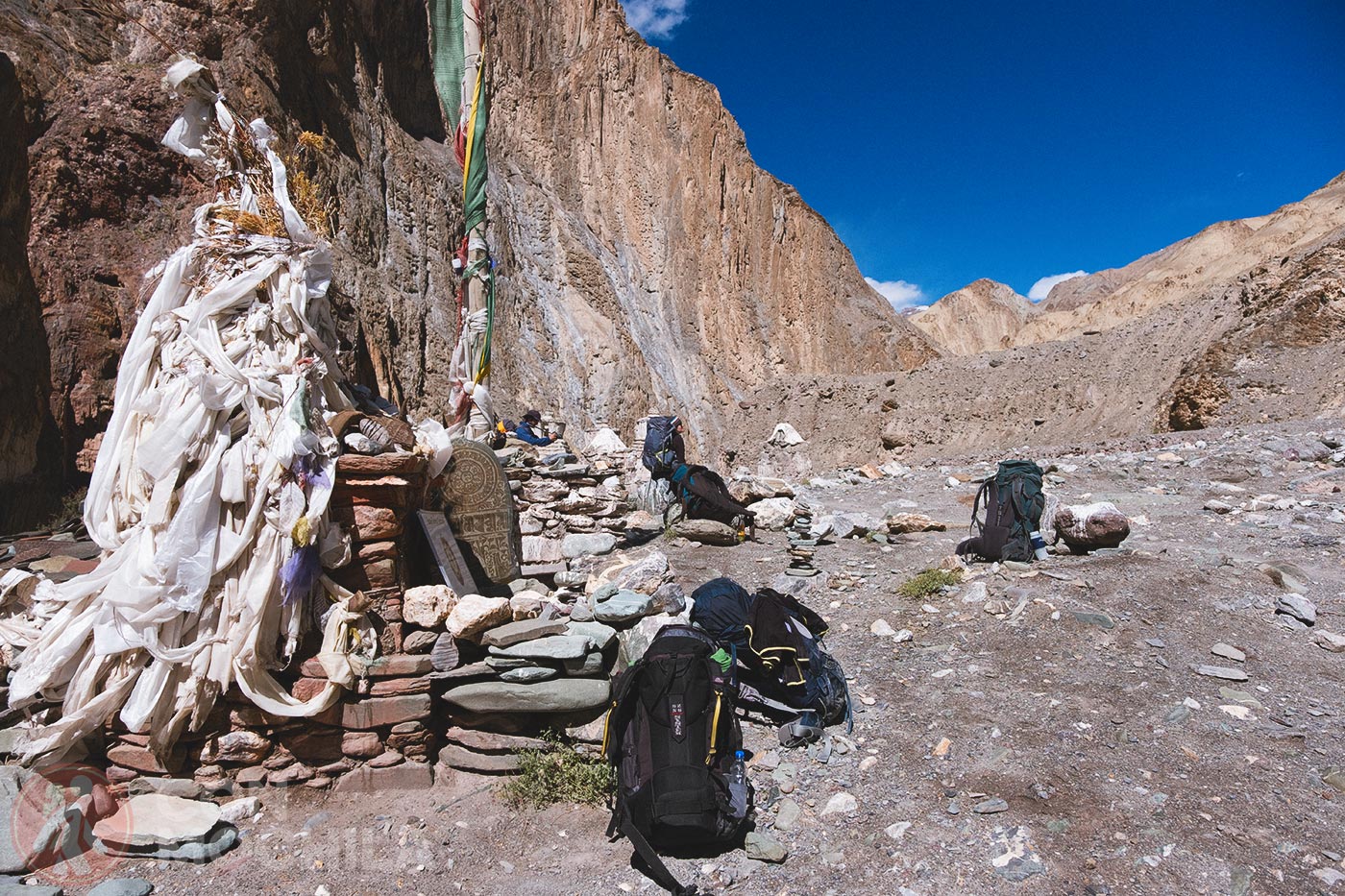 Markha - Upper Hankar (24)
