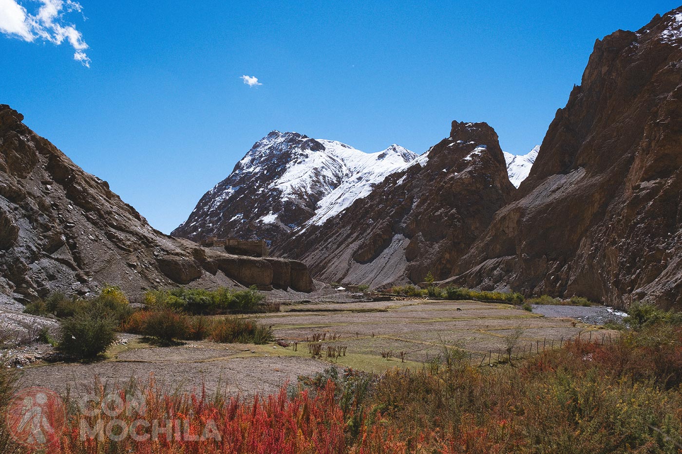 Markha - Upper Hankar (25)