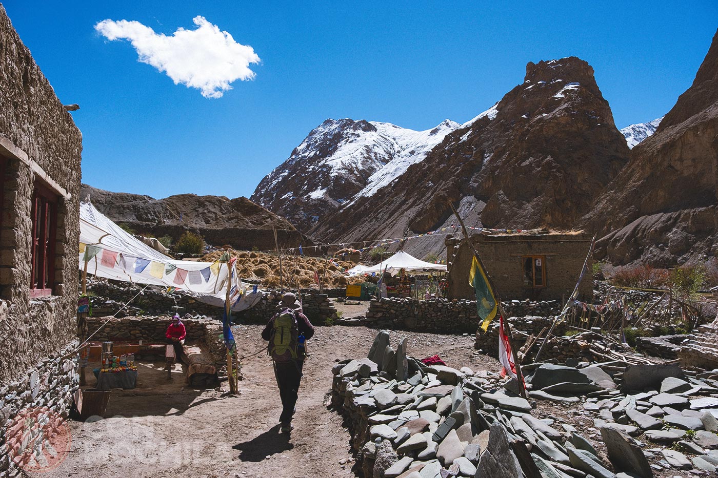 Markha - Upper Hankar (27)