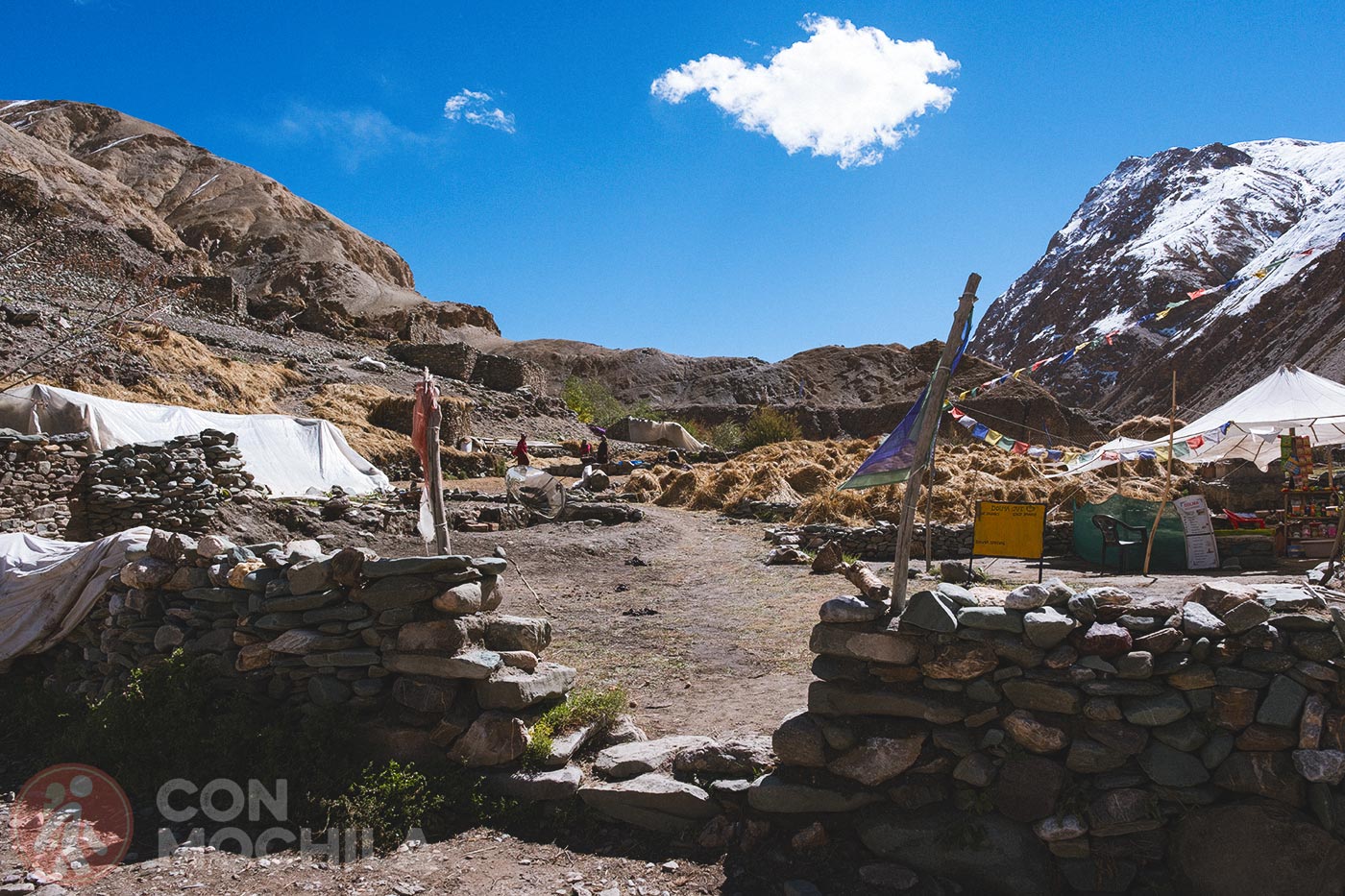 Markha - Upper Hankar (28)