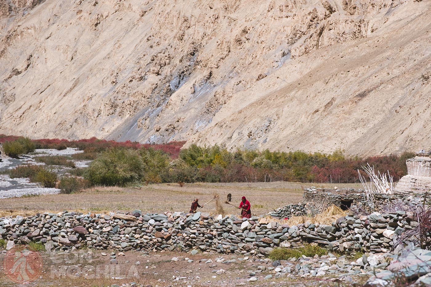 Markha - Upper Hankar (29)