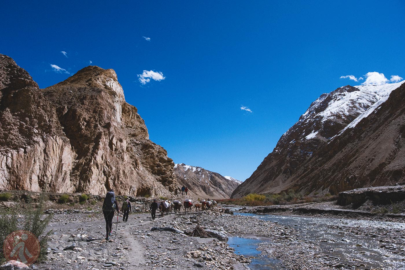 Markha - Upper Hankar (30)