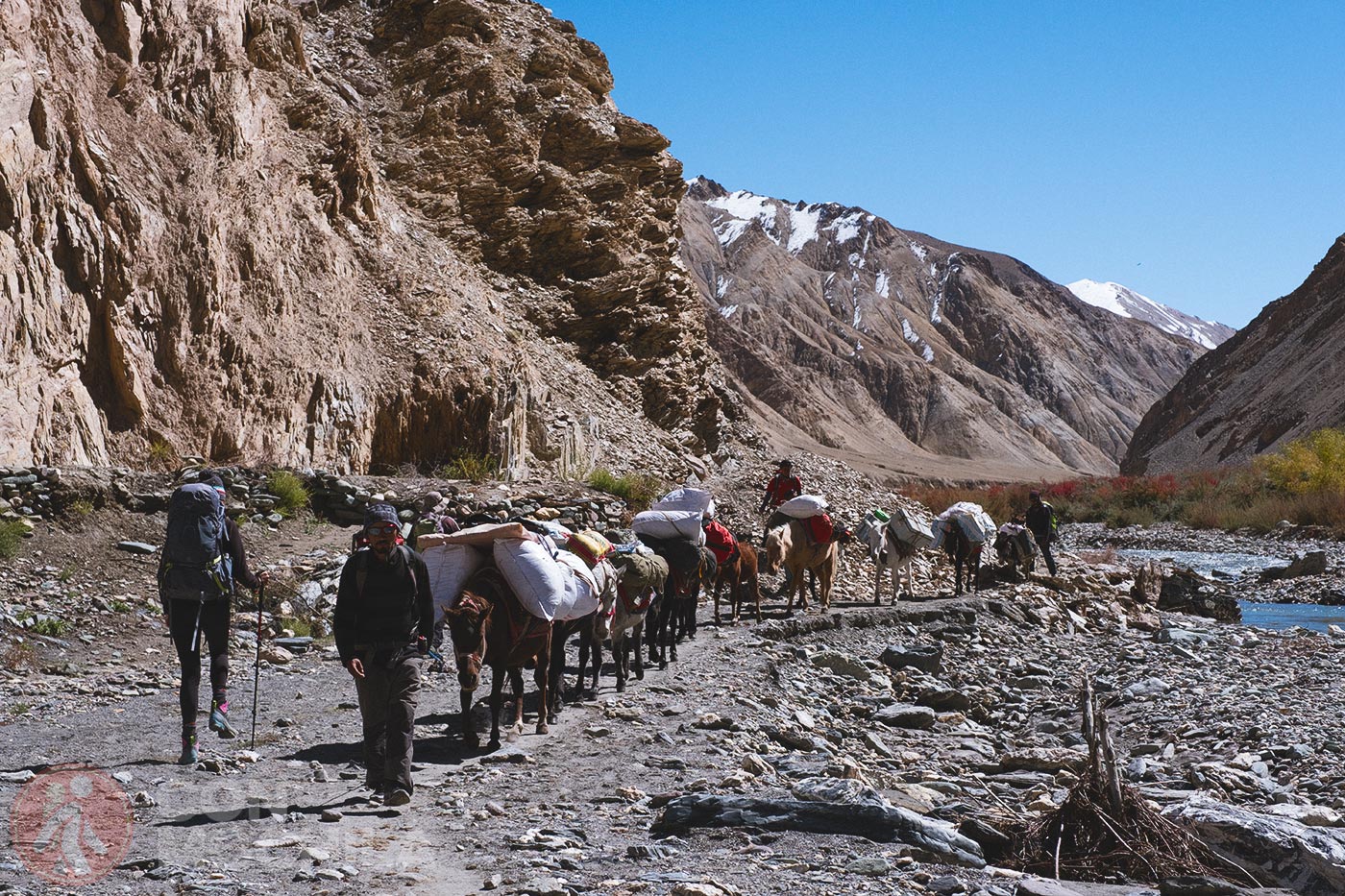 Markha - Upper Hankar (31)